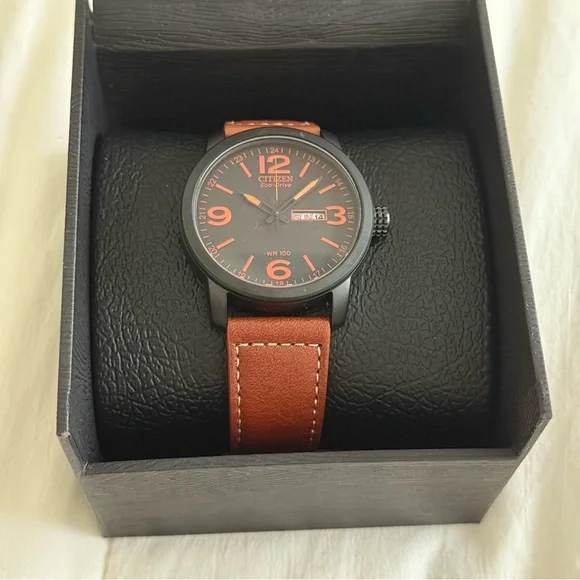 Citizen Men's Black and Brown Watch